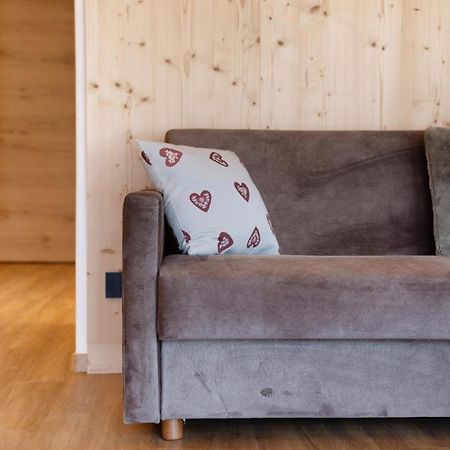 Les Ciases Chalets Dolomites Apt 5 圣维吉利奥 外观 照片